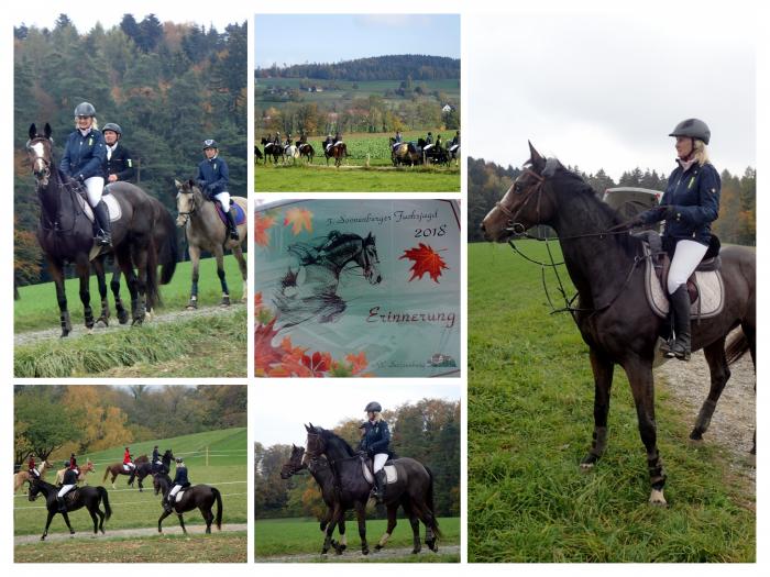  - Trakehner Gestt Hmelschenburg - Beate Langels