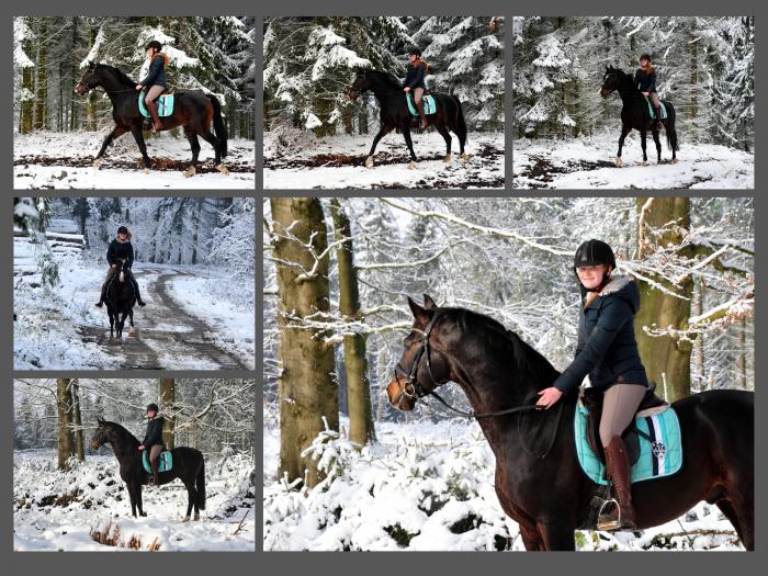 Schnee auf den Bergen rund um H melschenbug - Shavalou und Johanna haben ihn genossen - Foto: Beate Langels - 
Trakehner Gestüt Hämelschenburg