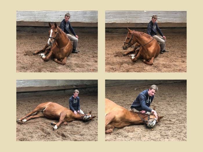 Klassic Motion - Stute v. High Motion u.d. Klassic v. Freudenfest