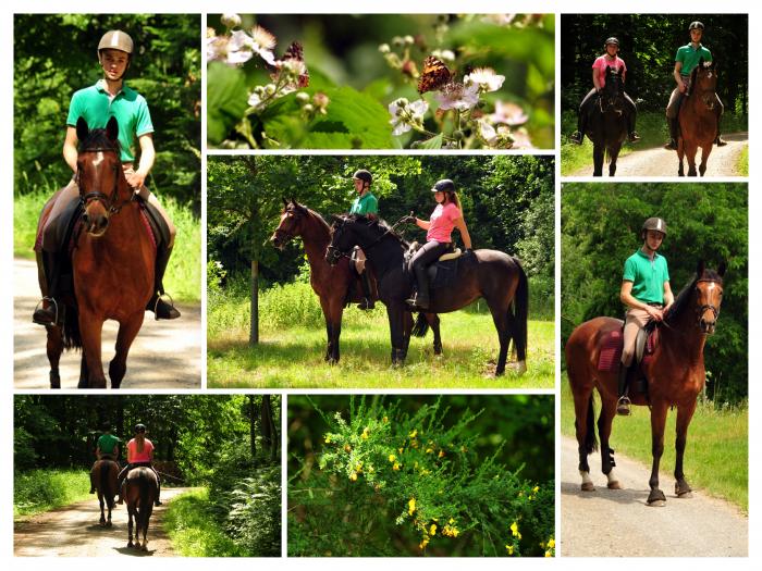 14. Juni 2019 - Foto: Beate Langels