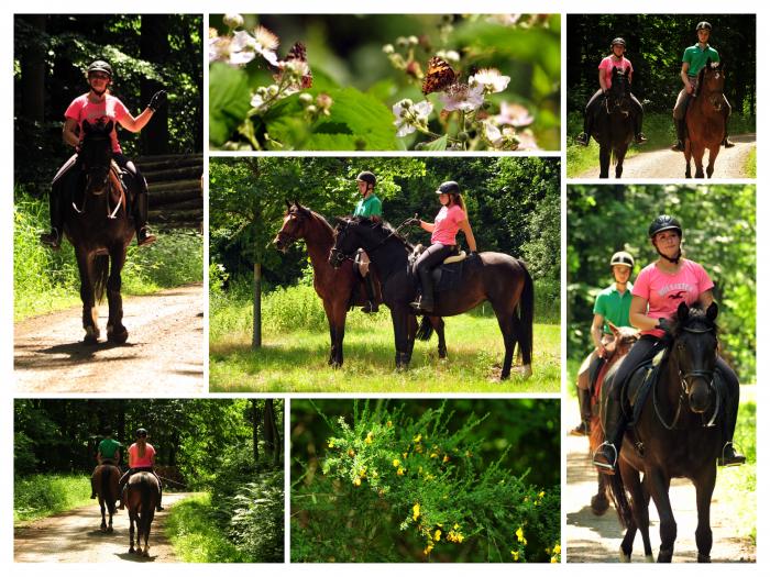 14. Juni 2019 - Foto: Beate Langels