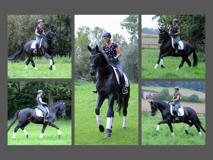 Under Amour v. Saint Cyr am 21.09.2023 - 
Foto: Beate Langels