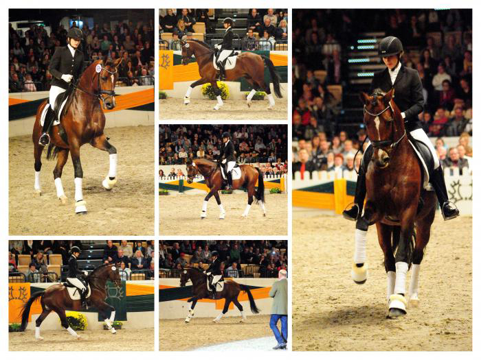 High Motion und Vera Nass beim Galaabend in Neumnster  - Trakehner Gestt Hmelschenburg - Beate Langels