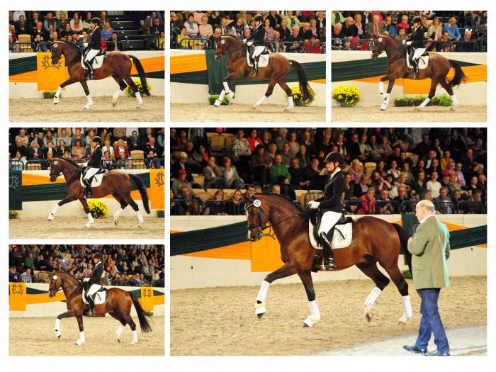 High Motion und Vera Nass beim Galaabend in Neumnster  - Trakehner Gestt Hmelschenburg - Beate Langels