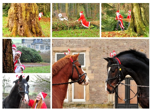 Es weihnachtet sehr - Trakehner Gestt Hmelschenburg 2017 - Foto: Beate Langels