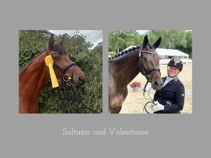 Saltazio v. High Motion und Valentiana v. His Moment holten Gold und Silber auf dem Turnier in Harbarnsen - 
Trakehner Gestt Hmelschenburg - Foto: Langels