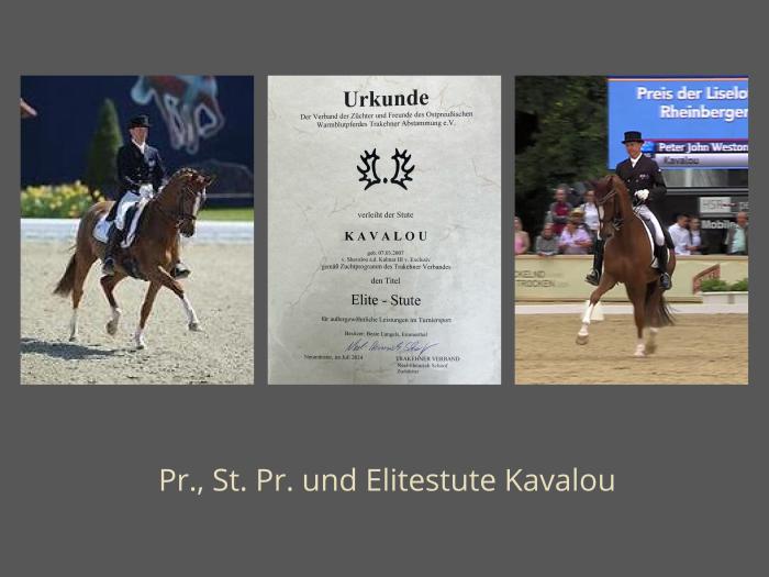 St.Pr.u.Pr.St. Kavalou als Elitestute ausgezeichnet - Foto: Beate Langels - Trakehner Gestt Hmelschenburg
