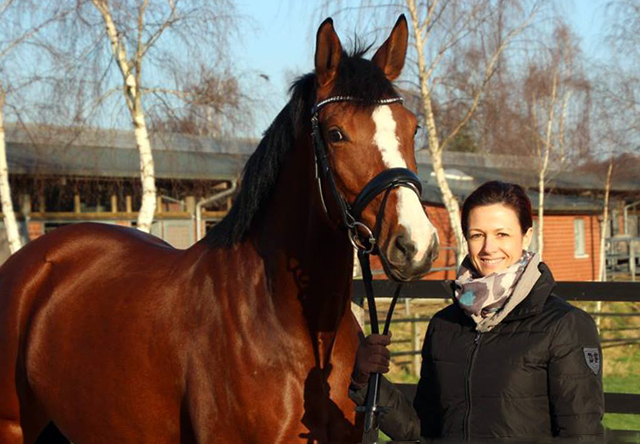 Trakehner Prmienstute Schwalbenpoesie von Exclusiv u.d. Schwalbenfee v. Freudenfest, Foto Heidemann