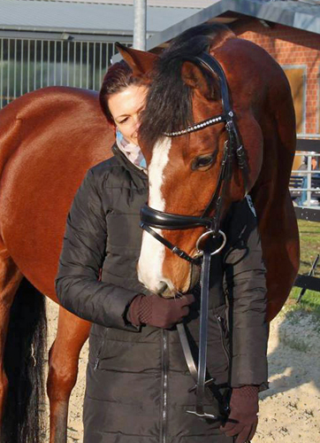 Trakehner Prmienstute Schwalbenpoesie von Exclusiv u.d. Schwalbenfee v. Freudenfest, Foto Heidemann