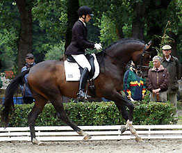 Deerberg v. Freudenfest u.d. Didaktik v. Manrico, Foto: Beate Langels Gestt Hmelschenburg