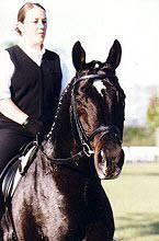 Enrico Caruso - Foto: Tylord Farm