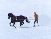 Winterspaß mit Enrico Caruso