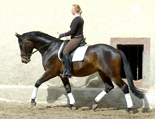 Eisknig von Summertime-Trocadero - Anfang Mai 2010 - Foto: Beate Langels,Trakehner Gestt Hmelschenburg