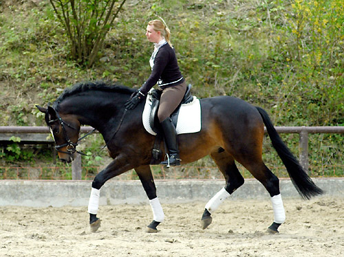 Eisknig von Summertime-Trocadero - Anfang Mai 2010 - Foto: Beate Langels,Trakehner Gestt Hmelschenburg