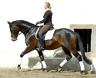 Jahrgang 2006