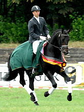 Trakehner Reitpferdechampion 2008: Elfado von Kostolany, Foto: Beate Langels