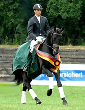 Reitpferdechampion ELFADO v. Kostolany - Roncalli xx