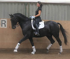 Emron v. Kostolany - geritten von Esther Kletzer