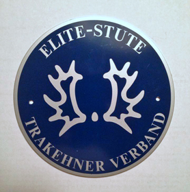 Elitestute Gwendolyn v. Exclusiv