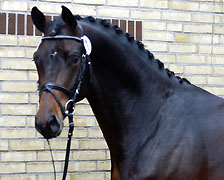 Everio von Summertime