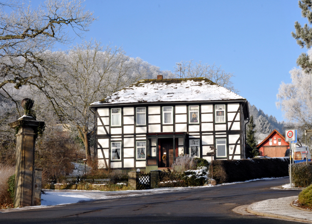 Winter in Hmelschenburg - 21. Januar 2016  -
Trakehner Gestt Hmelschenburg