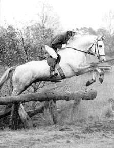 Falke in der Hengstleistungsprüfung, Foto: Archiv