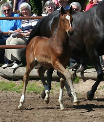 Val de Vienne von Exclusiv - Showmaster, Foto: Beate Langels