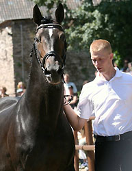 Exclusiv und Sebastian Krause