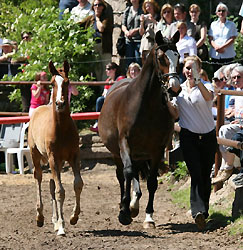 Tavolara, Tarvisio und Amelie Stever in Aktion