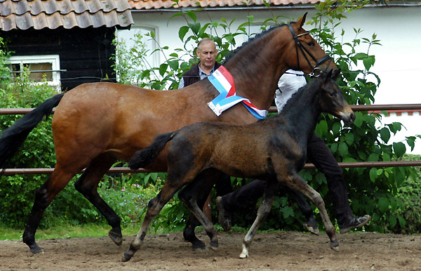 Takehner Filly by Insterburg out of Premiummare Karena by Freudenfest, Gestt Hmelschenburg - Beate Langels