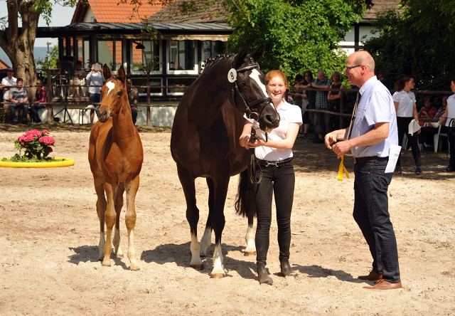 Greta Garbo mit ihrer Tochter von High Motion - Gestt Hmelschenburg am 22. Mai 2016