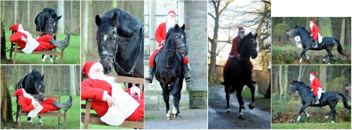 November Impressionen  - Fotos Beate Langels- Trakehner Gestt Hmelschenburg