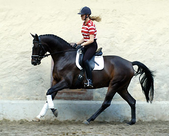 Fridolyn v. Freudenfest u.d. Beloved v. Kostolany - Foto: Beate Langels, Gestt Hmelschenburg