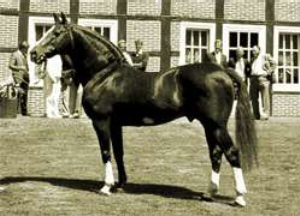 Furioso II