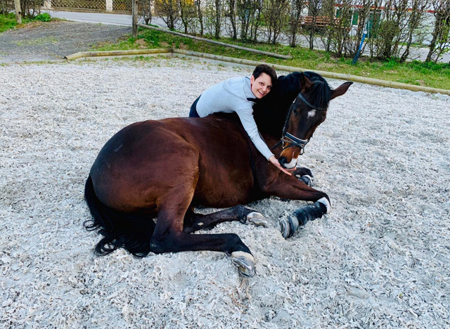 Der 5jhrige Grand Cyr   im Trakehner Gestt Hmelschenburg - Foto: privat