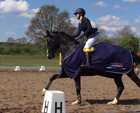 Greenwich Park von Saint Cyr - Foto: Beate Langels - Trakehner Gestt Hmelschenburg