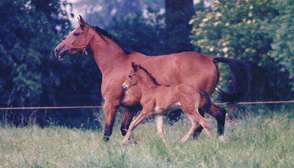 Gavotte und ihre Tochter Gloriette v. Kostolany