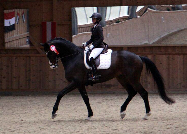 Esther und Grand Corazn von Symont u.d. Pr.u.StPrSt. Guendalina v. Red Patrick xx - Trakehner Gestt Hmelschenburg