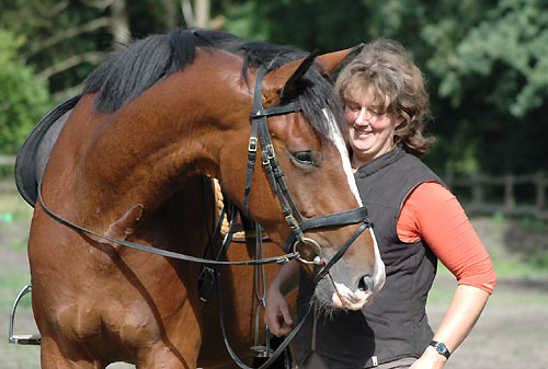 Gustav der Groe - Trakehner von Freudenfest u.d. Gwendolyn v. Maestro