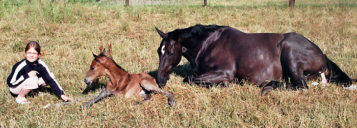 Geburt des Hengstfohlens von Freudenfest u.d. Panaceia v. Kennedy u.d. Piroschka v. Kostolany, Foto: Wittmer-Eigenbordt