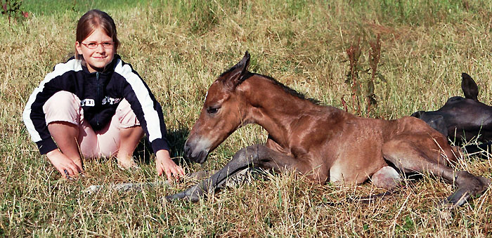 Geburt des Hengstfohlens von Freudenfest u.d. Panaceia v. Kennedy u.d. Piroschka v. Kostolany, Foto: Wittmer-Eigenbordt