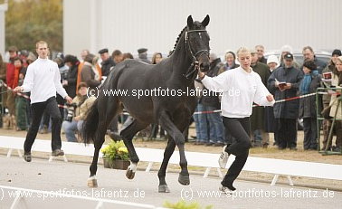 Giovanni Silva v. Summertime - Alter Fritz - Kostolany, Foto: Lafrentz