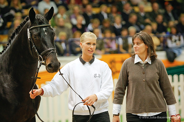 Trakehner Hengst GIOVANNI SILVA von Summertime u.d. Greta Garbo von Alter Fritz mit Christina Stricker und Beate Langels - Trakehner Gestt Hmelschenburg, Foto: Jutta Bauernschmitt