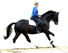 Golany von Summertime und Martina Lutzke