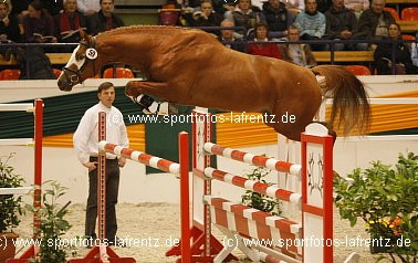 Golden East von Shavalou - Alter Fritz - Kostolany, Foto: Lafrentz