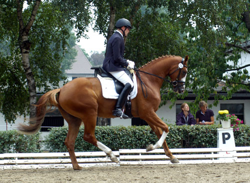 Golden East von Shavalou - Alter Fritz - Kostolany, Foto: Beate Langels