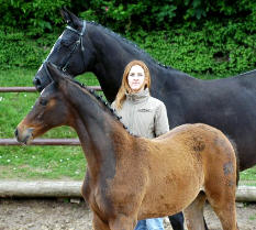 Trakehner Stutfohlen v. Summertime u.d. Greta Garbo v. Alter Fritz