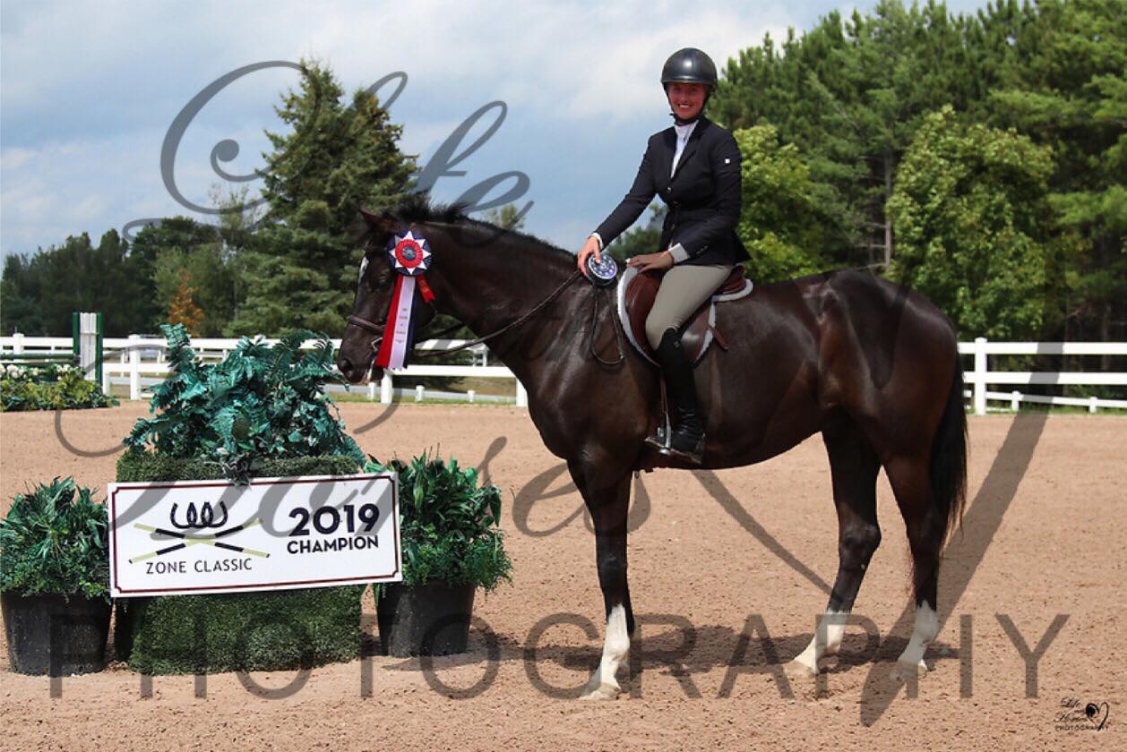 Guardiola -  5jhriger Trakehner von Saint Cyr u.d. Greta Garbo - Sommer 2019   -
Trakehner Gestt Hmelschenburg