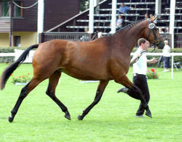 Guendalina by Red Patrick xx