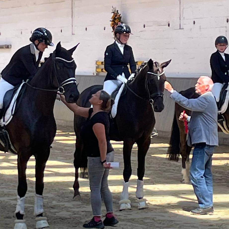 Highclere - Trakehner von Saint Cyr u.d. Hanna v. Summertime  - Foto:  Trakehner Gest t H melschenburg